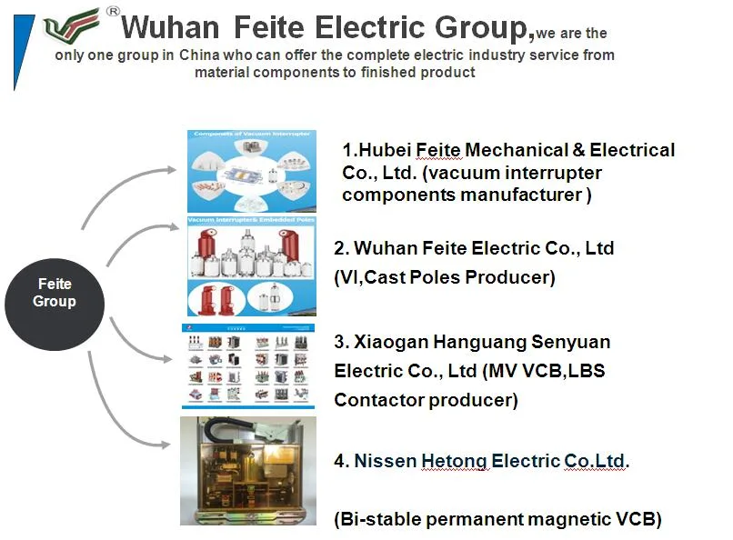 Power Switchgear Automatic Sectionilizer Embedded Pole for VEP546B